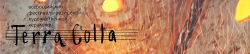 Terra Cotta �� ������ � 2013: ����