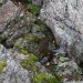 ���������� ������ - ������������� ����� (2012). 